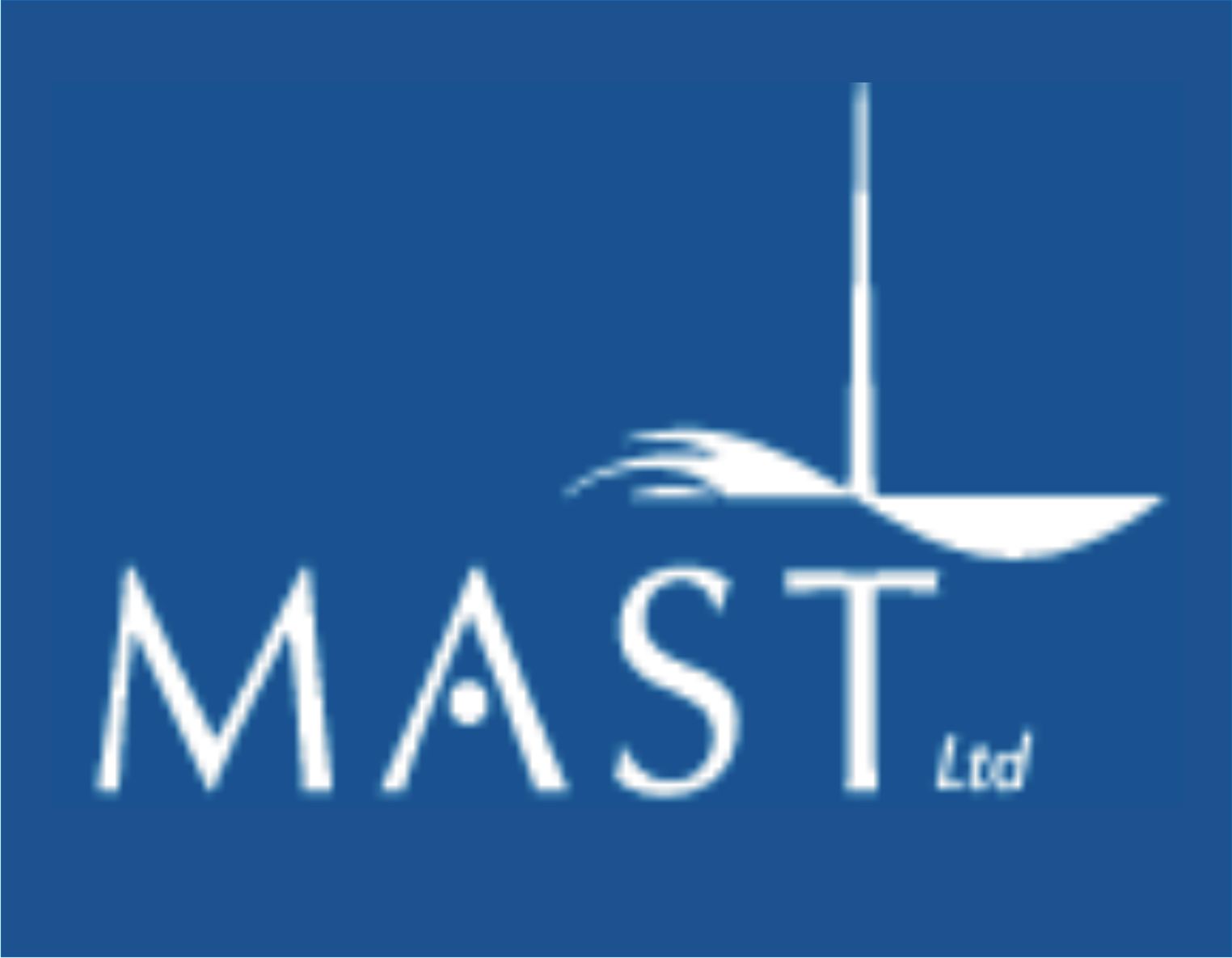 MARITIME ASSET SECURITY